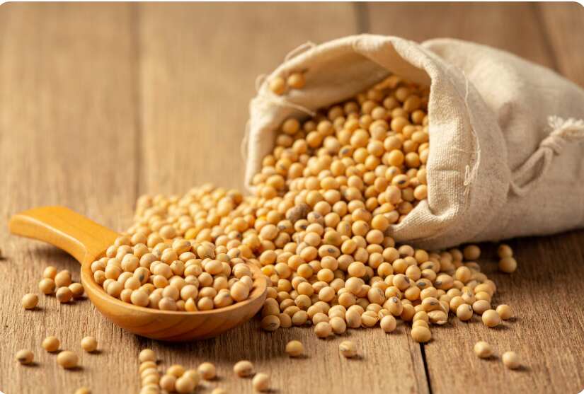 Is Soy Products Gluten Free? What You Need to Know About Soy and Gluten